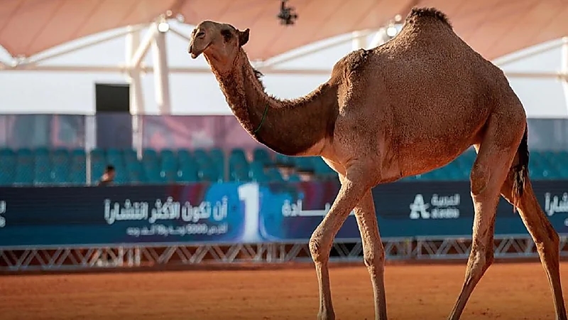 مدير الأمن العام : يقرر ترقية 5507 ضباط صف إلى رتبة رقيب