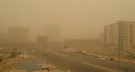%86 من عوالق الهواء غبار وكبريتات.. واقتراحات لتحسين جودته
