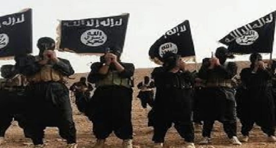 من العلم للتطرف.. رحلة شاب تحول لإرهابي مجهول