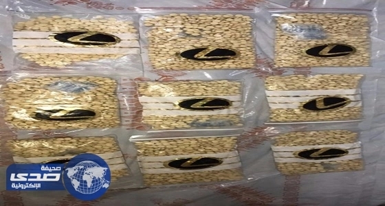 بالصور.. تعرف على الأسرة الأكثر عزلة في العالم