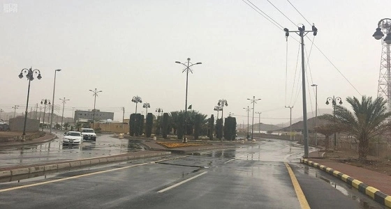 القبض على 3 أشخاص استخدموا صاعقًا كهربائيًا في سلب 350 ألفا بالرياض