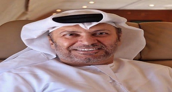 قرقاش يرد على وزير الخارجية الألماني السابق بشأن التدخل العسكري ضد قطر