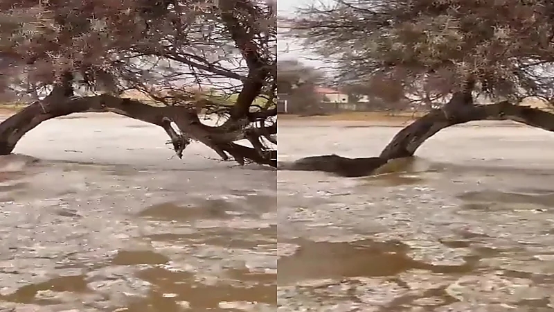«فيديو» يظهر السيول والبرد في سوق عكاظ بالطائف