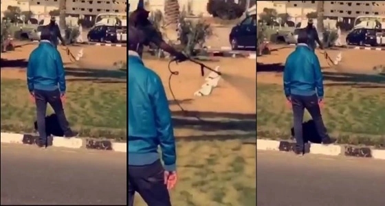 بالفيديو.. تزيين مزيف لشوارع الطائف تزامنا مع زيارة أمير مكة