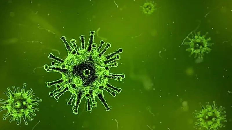 منظمة عالمية تحسم الجدل بِشأن تأثير "الطقس" على انتشار كورونا