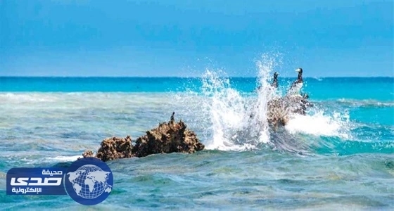 " غرفة جازان ": مشروع البحر الأحمر قفزة نوعية في الاستثمار