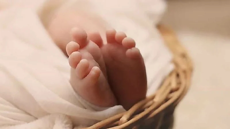 شاهد.. أم تلقي ابنها الرضيع في الغابة ليموت من الصقيع