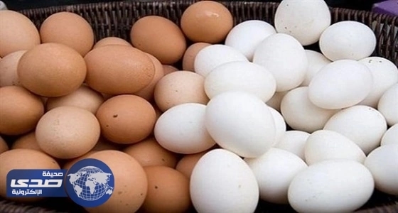 دراسة حديثة تكشف نتائج خطيرة عن " البيض "