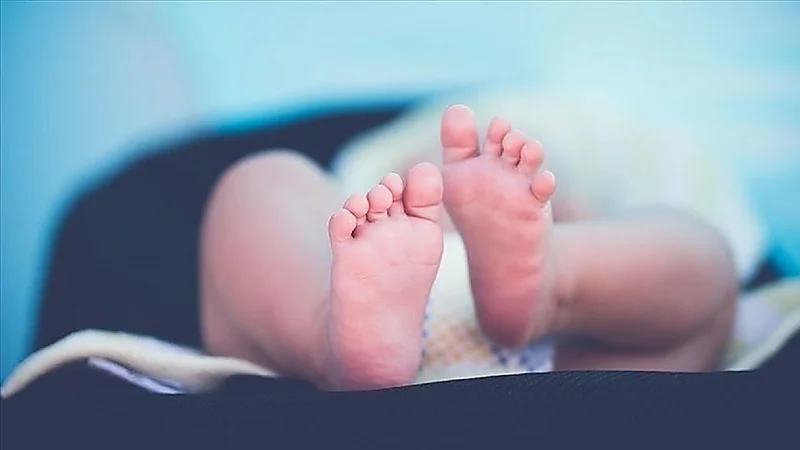موظفة بمستشفى تسرق حديثي الولادة لتهريبهم