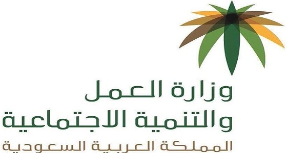 العمل تكشف حقيقة توفير فرص عمل لإحدى الجنسيات العربية