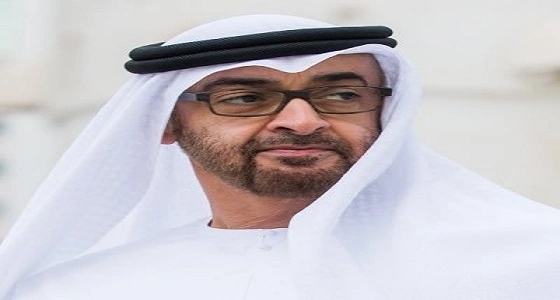 شروط محمد بن زايد لقبول أي حل سياسي في اليمن
