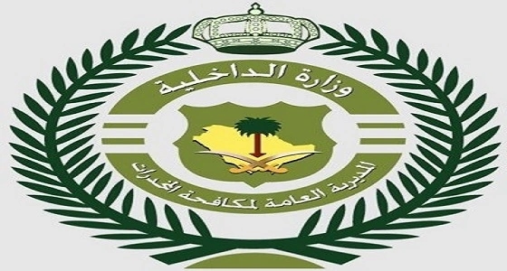 مكافحة المخدرات تضبط " خلية " بحوزتها حبوب محظورة بالرياض