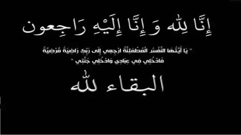 بالفيديو.. العملاق الزاحف.. تمساح ضخم يقطع الطريق في فلوريدا