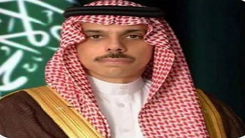 وزير الخارجية يؤكد على وقوف المملكة إلى جانب الجزائر جراء موجة الحرائق