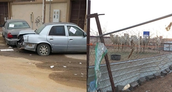 بالصور.. أمانة الشمالية تواصل جولاتها ضمن مبادرة التشوه البصري