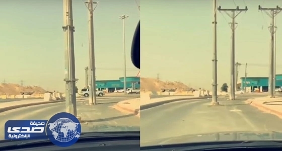 بالفيديو.. إهمال جسيم وتركيب أعمدة إنارة وسط الطريق في الرياض