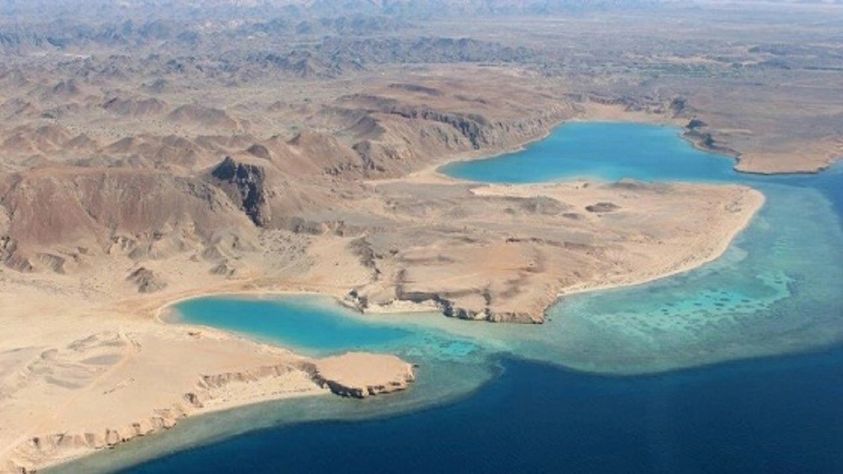 بالأسعار.. " الضبان " تغزو المتاجر العالمية
