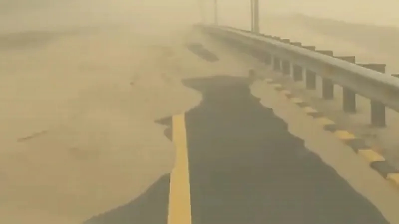 بالفيديو .. "الغبار" يدفن طريق بالرمال ويعرقل السير بطرق أخرى في الكويت