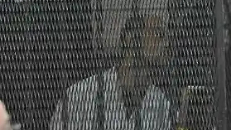منفذ مذبحة الإسكندرية: أنا مش عايز حبل مشنقة أنا عايز الإعدام رميا بالرصاص
