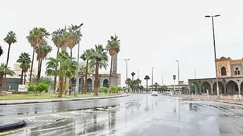 مناطق هطول الأمطار وحبات البرد خلال هذا الأسبوع  ..  فيديو