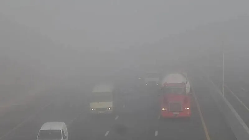 ‎مصرية تضع طفليها التوأم على الطريق بسبب الضباب