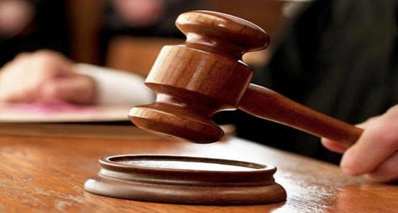 173 قضية ملكية فكرية في المحاكم خلال سنتين