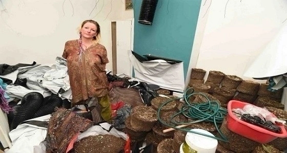 امرأة تتفاجأ بتحويل منزلها لمزرعة ضخمة للمخدرات