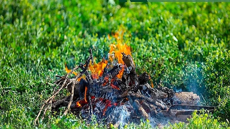 ضبط مواطن لإشعاله النار في أراضي الغطاء النباتي بمحمية طويق الطبيعية