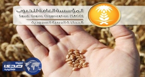 أزمة الحوافز تعصف باستقرار " العامة للحبوب "