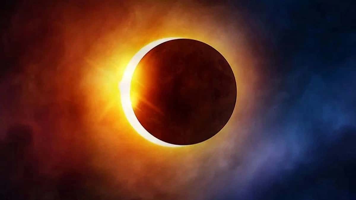 WhatsApp Image 2026-02-14 at 1.28.59 PM.jpeg