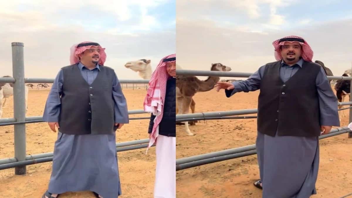 WhatsApp Image 2026-02-07 at 12.09.34 PM.jpeg