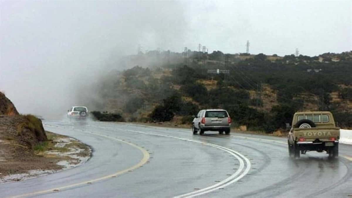 WhatsApp Image 2026-02-14 at 1.52.08 PM.jpeg