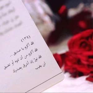 فريدة حسب النبي