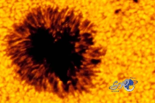 شاهد.. "شمس الأسطورة" توضح سبب انتقادها لهذا النوع من النقاب