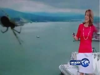 بالفيديو .. الاتحاد يستعيد الصدارة ويسحق مرمى الفتح بثلاثية