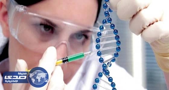 النجمي: فحصنا 2621 حالة زواج خلال 6 أشهر