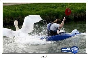 الزهراني يجتمع بالجهازين الفني والإداري لمنتخب الصالات