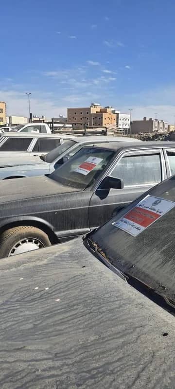 شاهد.. لحظة القبض على مشجع رياضي احتفل بفوز فريقه بالسوبر بإطلاق النار 