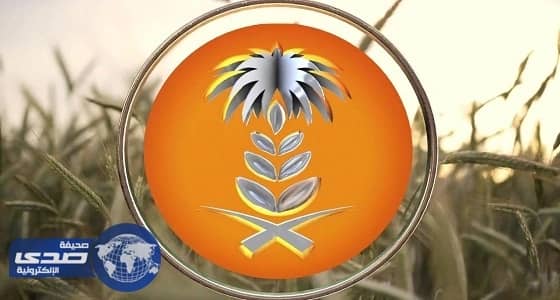 " العامة للحبوب " تطرح مناقصة لاستيراد 960 ألف طن شعير علفي