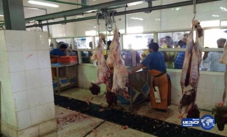 أمانة الرياض تلزم المطابخ بتثبيت أسعار خدمة ذبح الأضاحي