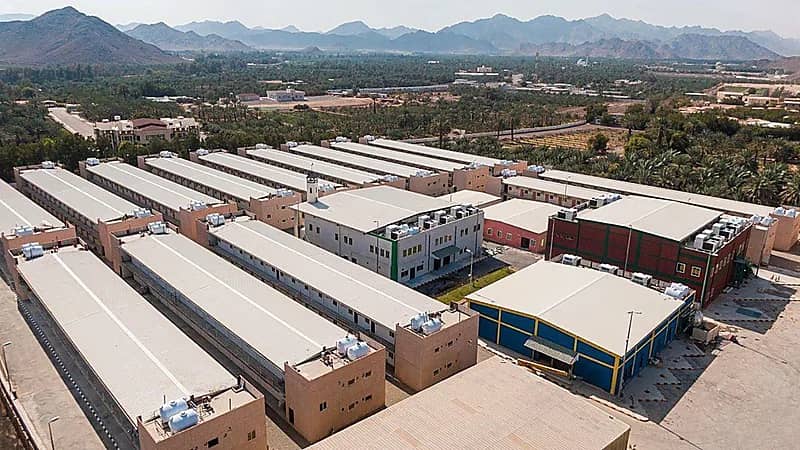 الكشف عن الاشتراطات المتعلقة بالمخالفات في السكن الجماعي للأفراد