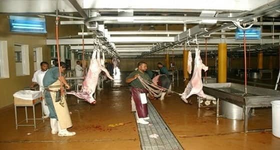 بلدية الخرج تكمل جاهزية مسالخ السيح لعيد الفطر المبارك