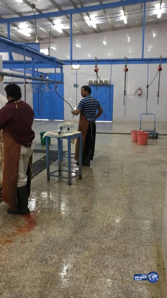 وفق شروط صحية.. "أمانة نجران" تسمح للمطابخ بذبح الأضاحي مؤقتاً