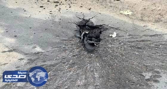 بالفيديو.. حيوان بري ضخم يثير الذعر بالطريق العام