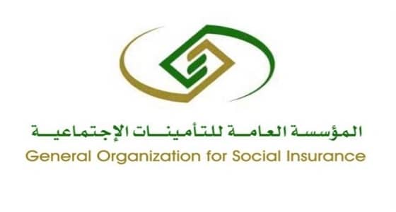 بالفيديو.. إطلاق تطبيق " تأميناتي " لمعرفة السجلات بالتأمينات