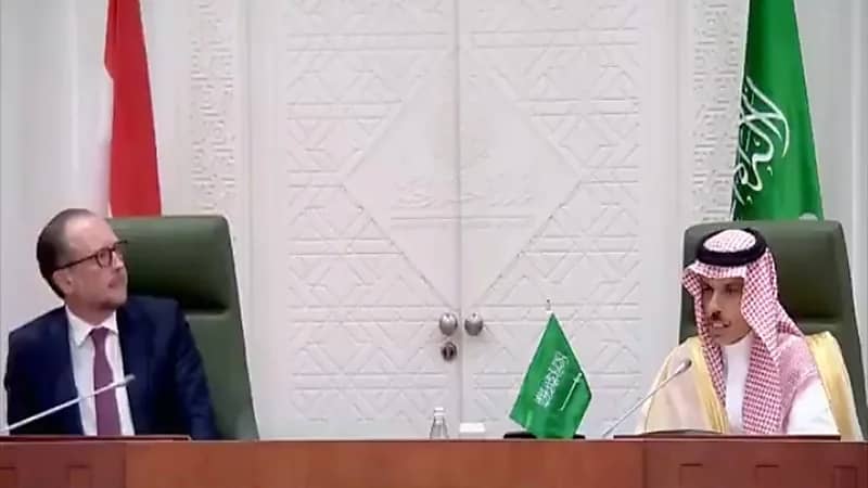 بالفيديو.. وزير الخارجية: العلاقات التجارية بين المملكة والنمسا أكثر من 50 عامًا