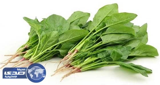 دراسة علمية حديثة: السبانخ قد تصيب بـ " الزهايمر "