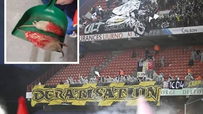 جماهير يلقون فئران ميتة على مدرجات الفريق المنافس