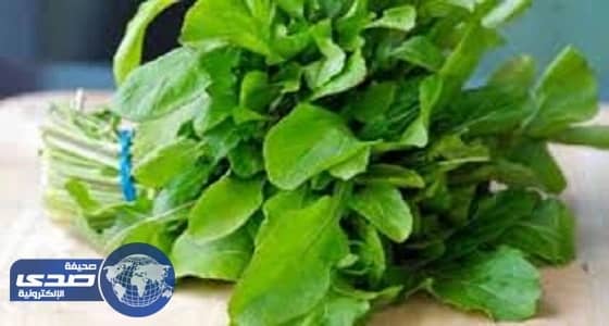 " الهيئة الملكية " تنهي أزمة حزمة جرجير اشتراها مواطن بـ500 ريال