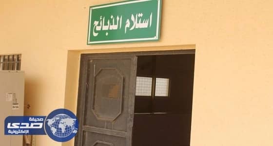 بالصور.. رئيس البلدية: الذبح مجانًا في المسلخ البلدي بشعبة نصاب